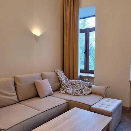 Apartment Renovated, Classic, High Ceiling In The Historic Center Of