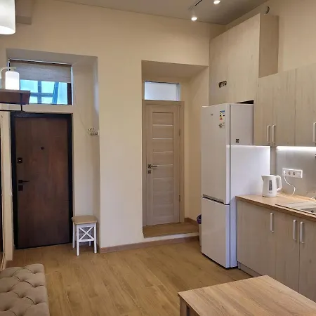 Renovated, Classic, High Ceiling In The Historic Center Of Apartment *