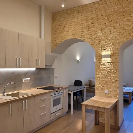 Renovated, Classic, High Ceiling In The Historic Center Of Odessa